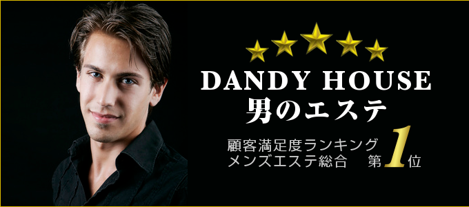 dandy-top2013feb